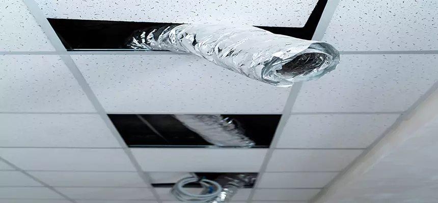 Our Air Duct Pet Hair Removal Services in West Islip, NY