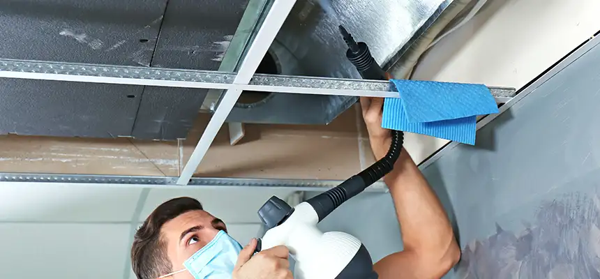 Our Air Duct Rodent Removal Services in West Islip, NY