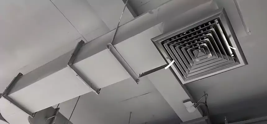 Restorative Allergy Relief Vent Cleaning – Coil, Blower & Housing Detail in West Islip