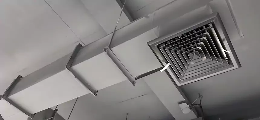 Our Pest Removal From Ducts Services in West Islip, NY