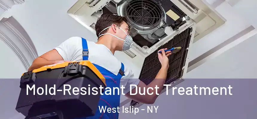  Mold-Resistant Duct Treatment West Islip - NY