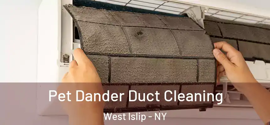  Pet Dander Duct Cleaning West Islip - NY