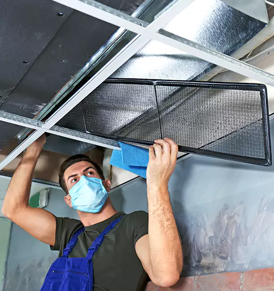 About Air Duct Bacteria Removal in West Islip