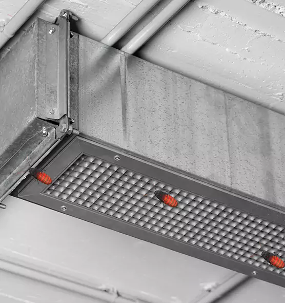 About Air Duct Cockroach Removal in West Islip, NY