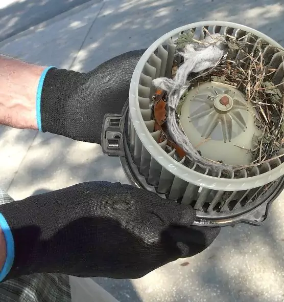 About Air Duct Rat Removal in West Islip, NY