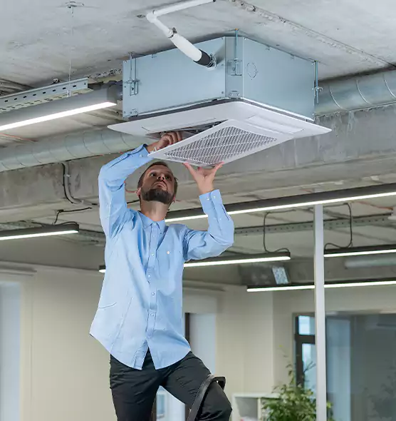 Advanced Rodent Droppings In Vents in West Islip, NY