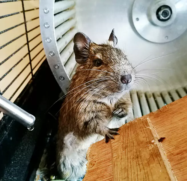 Why Homeowners & Businesses Trust Us West Islip, NY