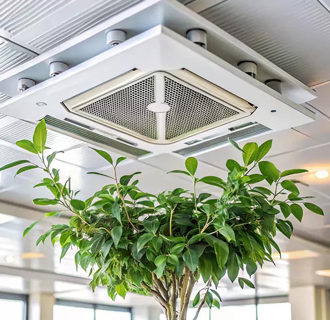 Why Homeowners & Businesses Trust Us in West Islip, NY