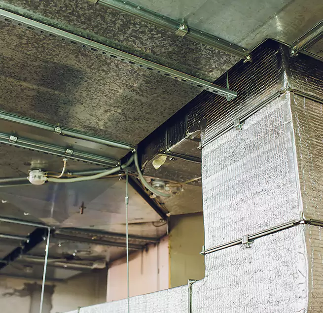 Why Homeowners & Businesses Trust Us in West Islip, NY?